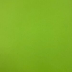 Bristol Board Lime Green 57 X 73